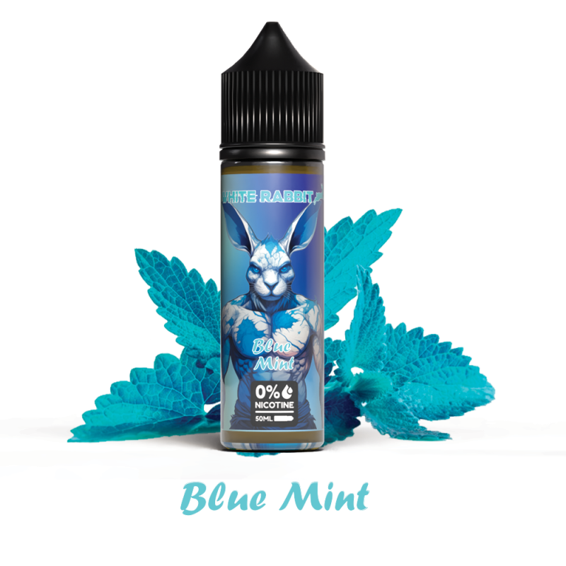 Blue Mint 50ml e-liquide menthe fraîche
