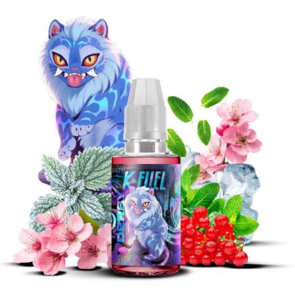 concentré DIY menthe groseille sakura