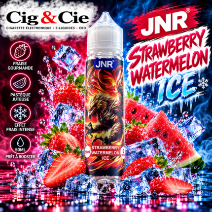 Strawberry Watermelon Ice 50ml - JNR