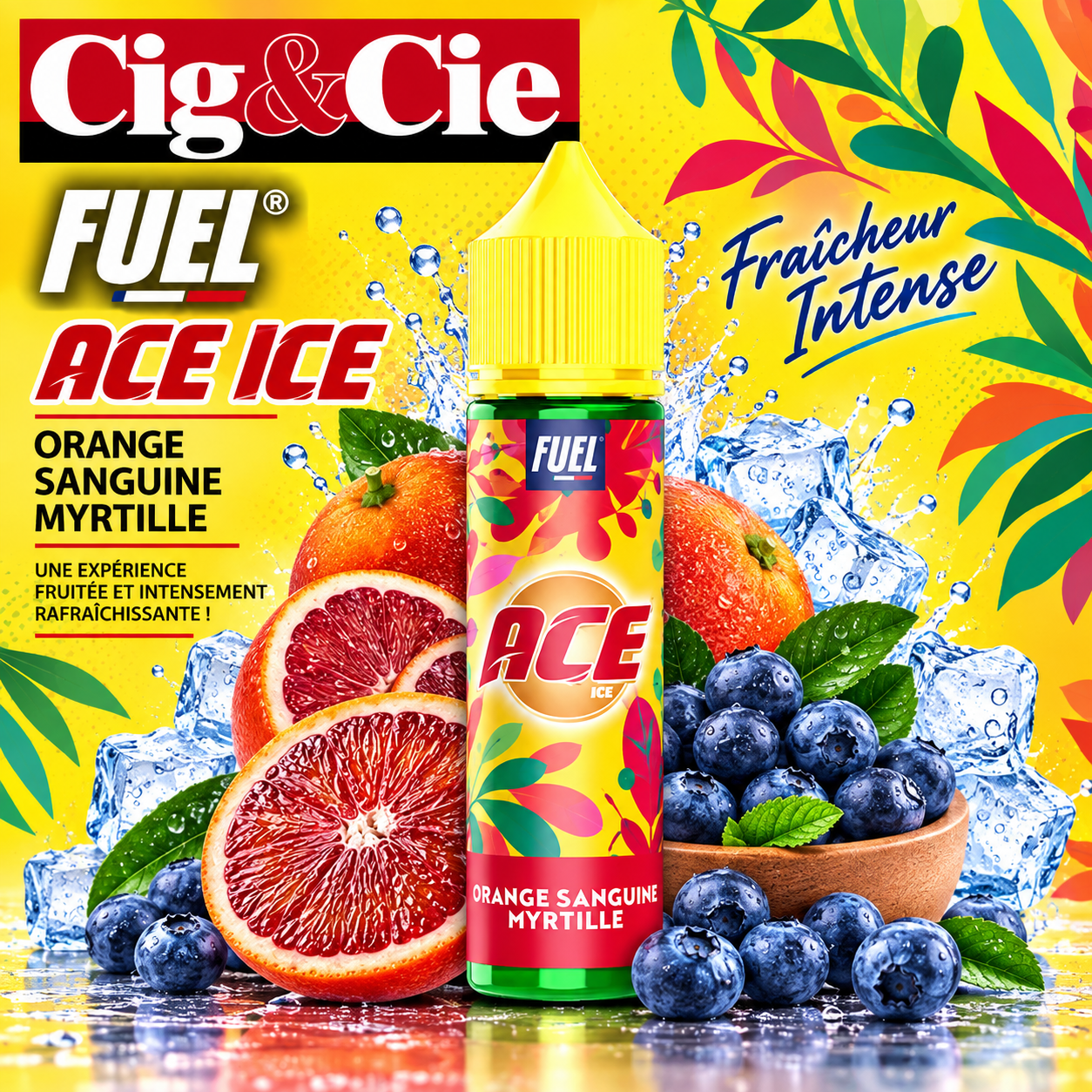 Orange Sanguine Myrtille 50ml (Gamme ACE) - Maison Fuel Orange Sanguine Myrtille 50ml (Gamme ACE) - Maison Fuel